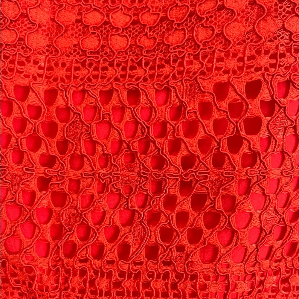 Banana Republic Elegant Red Lace Skirt - Picture 6 of 11